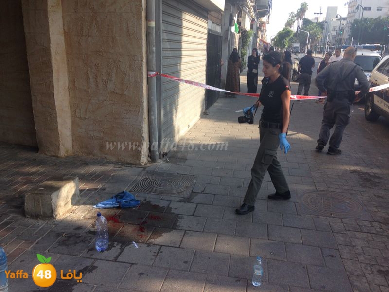 ta3n yefeieuti3 (1).JPG